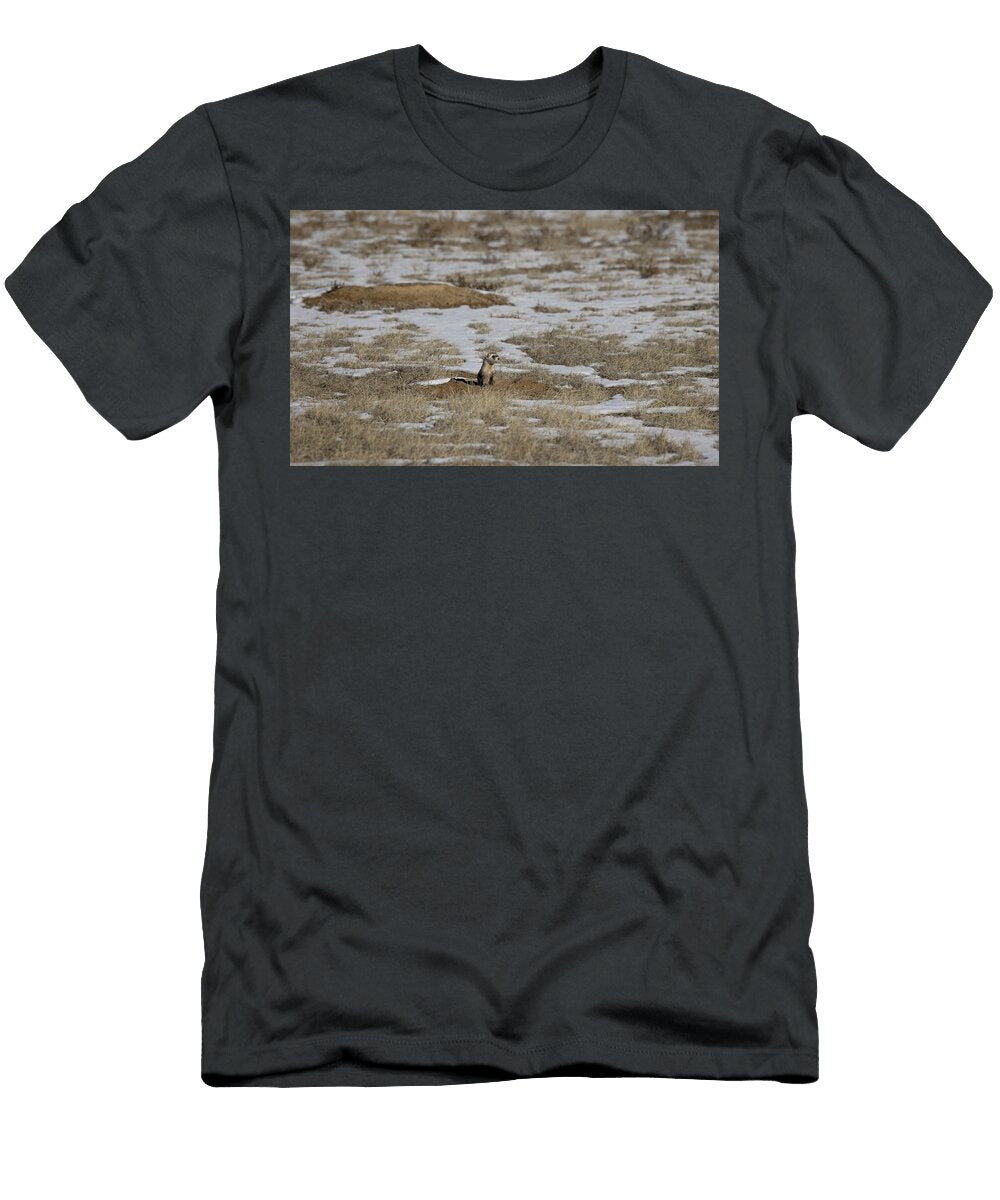 1 Black Footed Ferret Leaving a Black Tailed Prairie Dog Charlie Summers Natureplcom T-Shirt