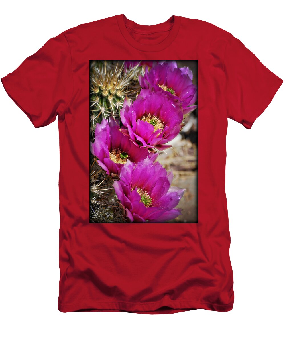 1 Englemans Hedgehog Cactus Saija Lehtonen T-Shirt