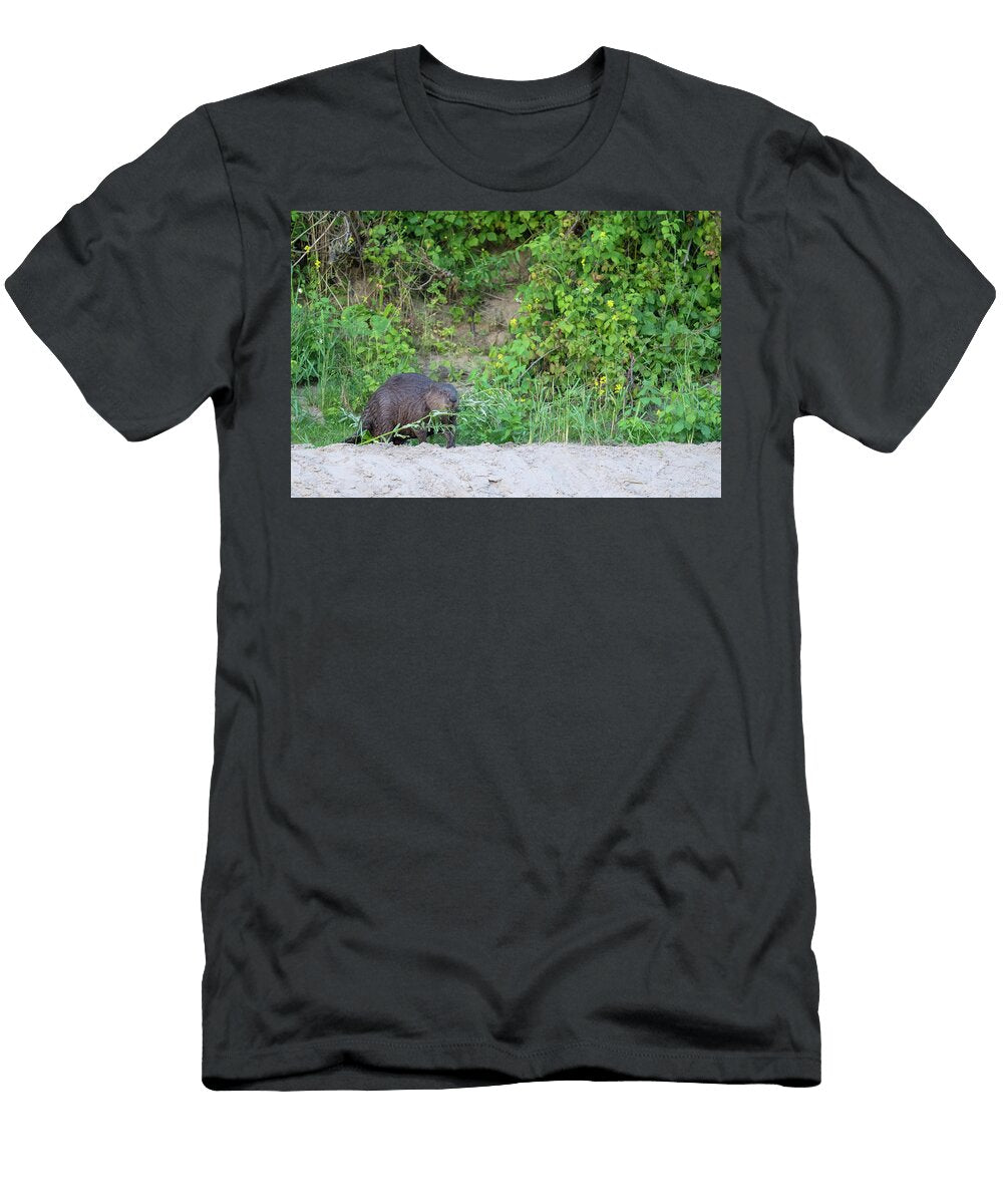 1 Eurasian Beaver a Reintroduced Species Carrying Branch in Staffan Widstrand Natureplcom T-Shirt