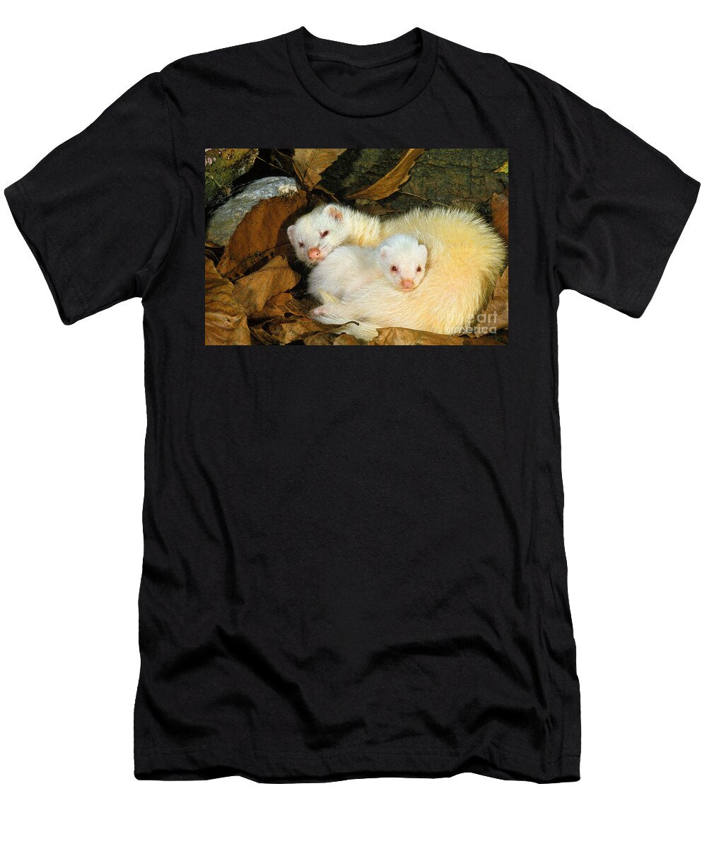 1 Ferret Mustela Putorius Furo Gerard Lacz T-Shirt