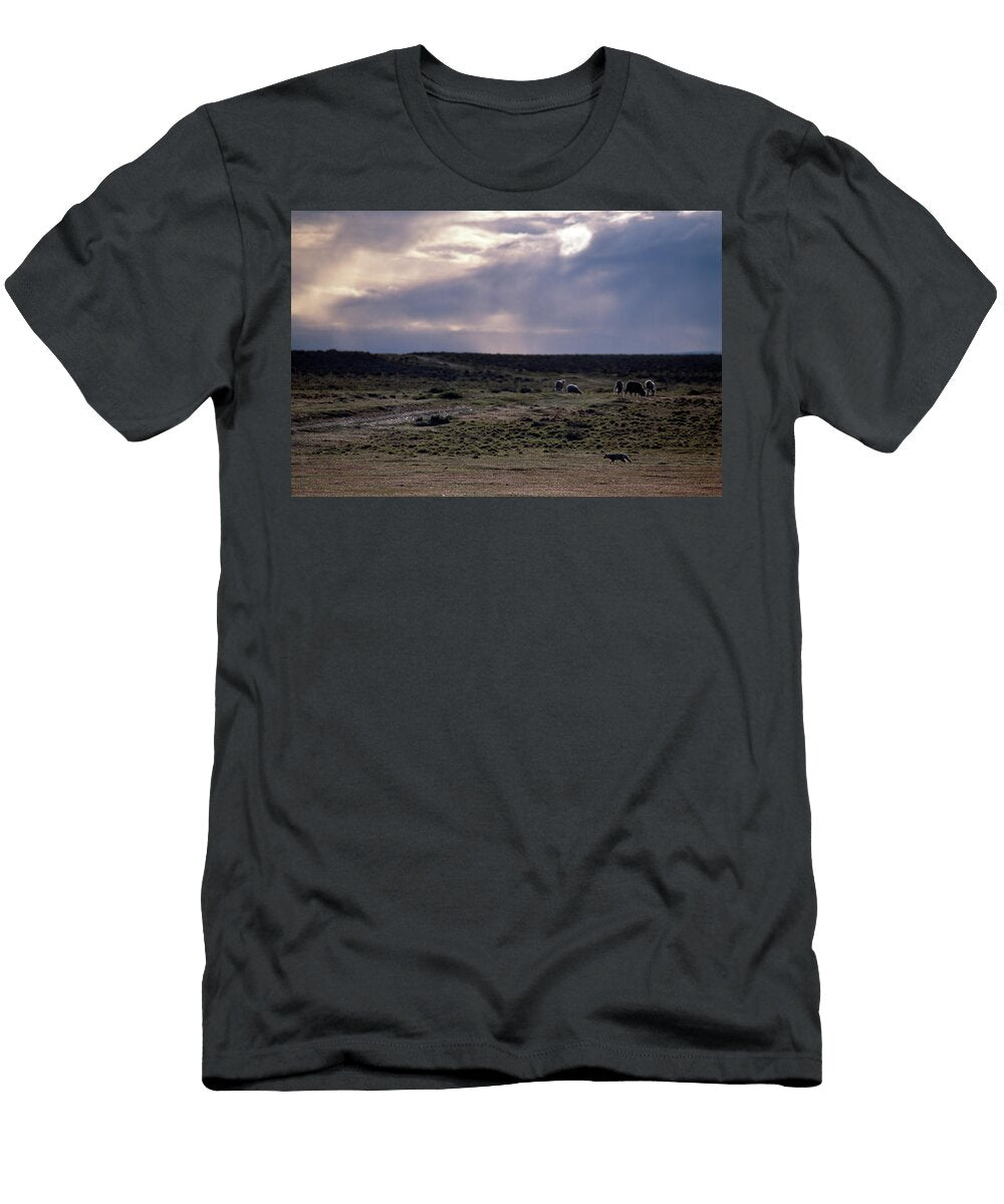 10 Environmental Tierra Del Fuego Kevin Moloney T-Shirt