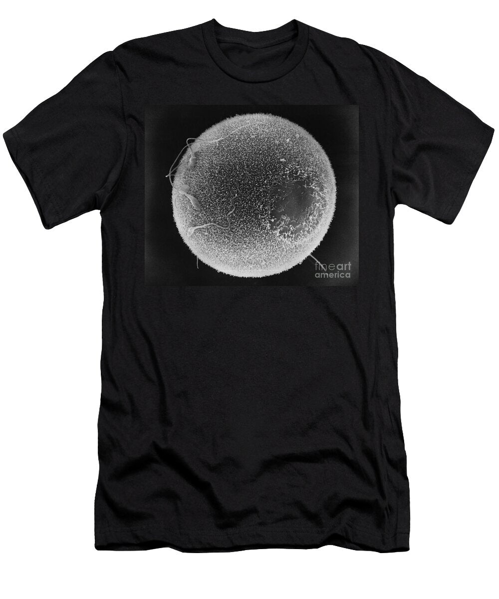 2 Human Sperm Fertilizing Hamster Egg Sem David M Phillips the Population Council T-Shirt