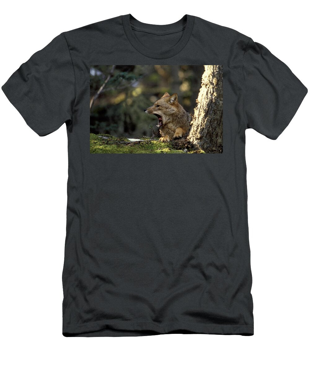 3 Environmental Woes of Tierra Del Fuego Kevin Moloney T-Shirt