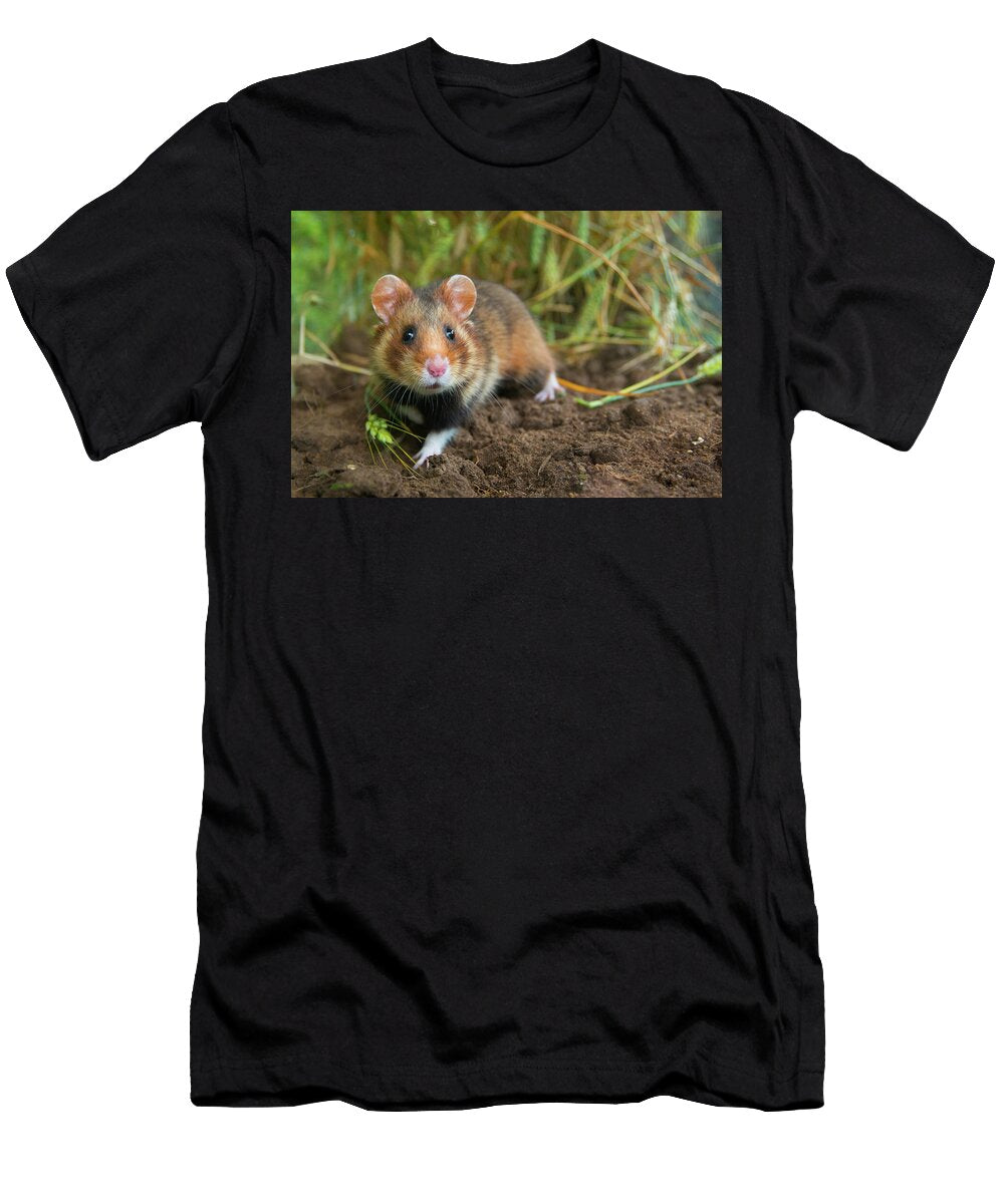 7 European Hamster in a Ripe Wheat Field Limburg the Edwin Giesbers Natureplcom T-Shirt