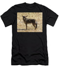 A Solitary Coyote Standing in a Dry Sunlit Grassland Yuval Helfman T-Shirt