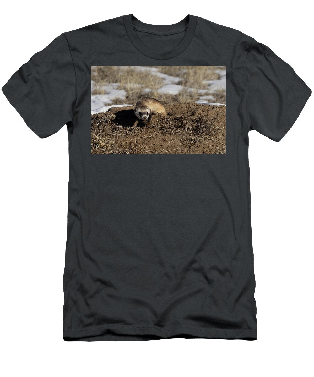 Black Footed Ferret Emerging From Prairie Dog Burrow Charlie Summers Natureplcom T-Shirt