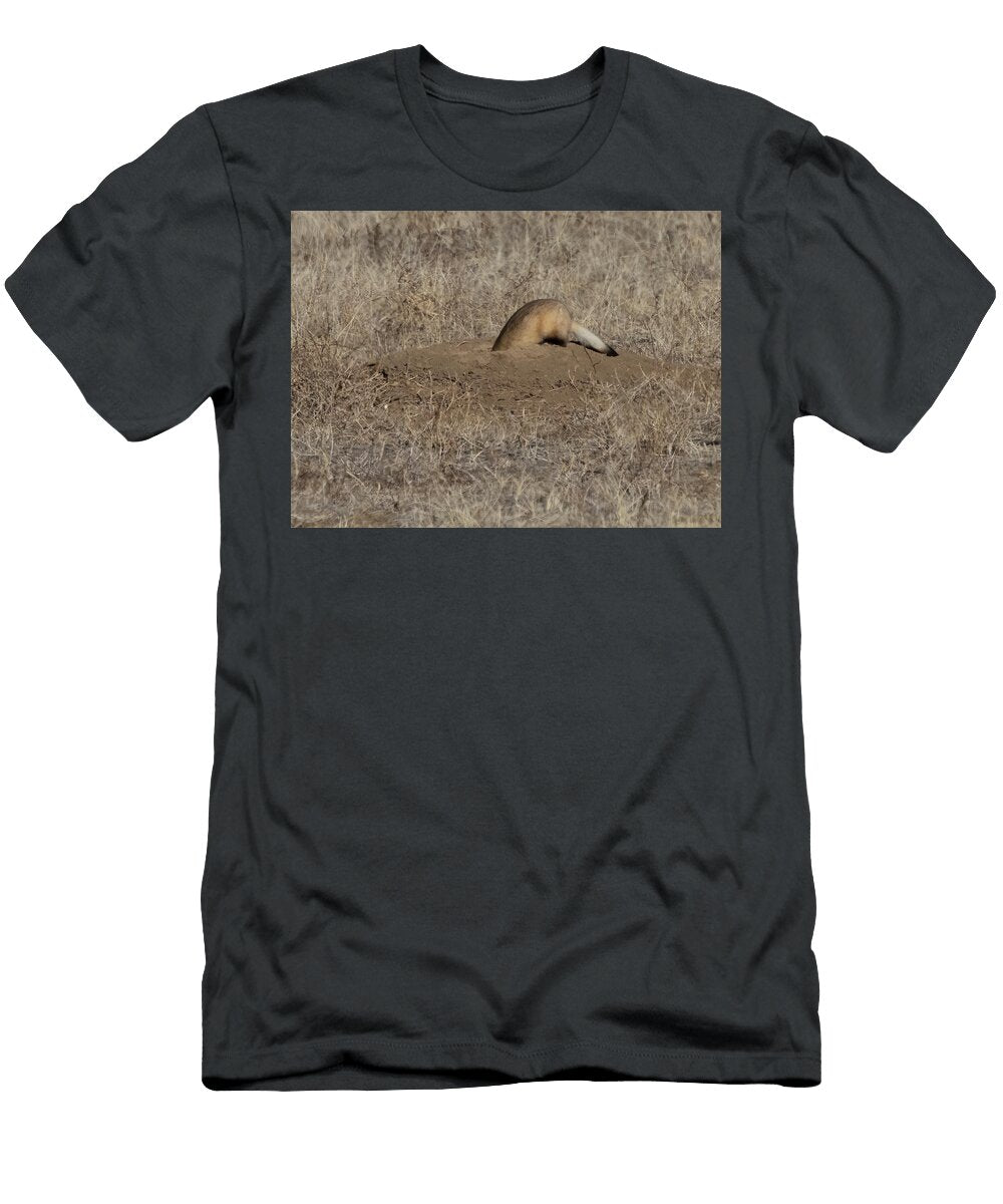 Black Footed Ferret Hunting with Head Down Prairie Dog Charlie Summers Natureplcom T-Shirt