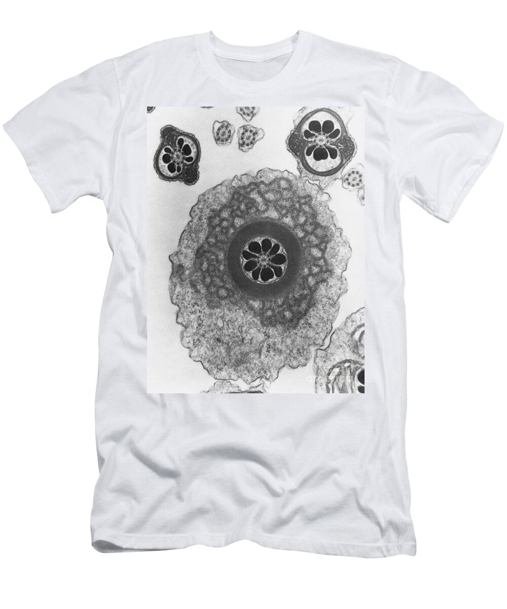 Chinese Hamster Sperm Tem David M Phillips T-Shirt