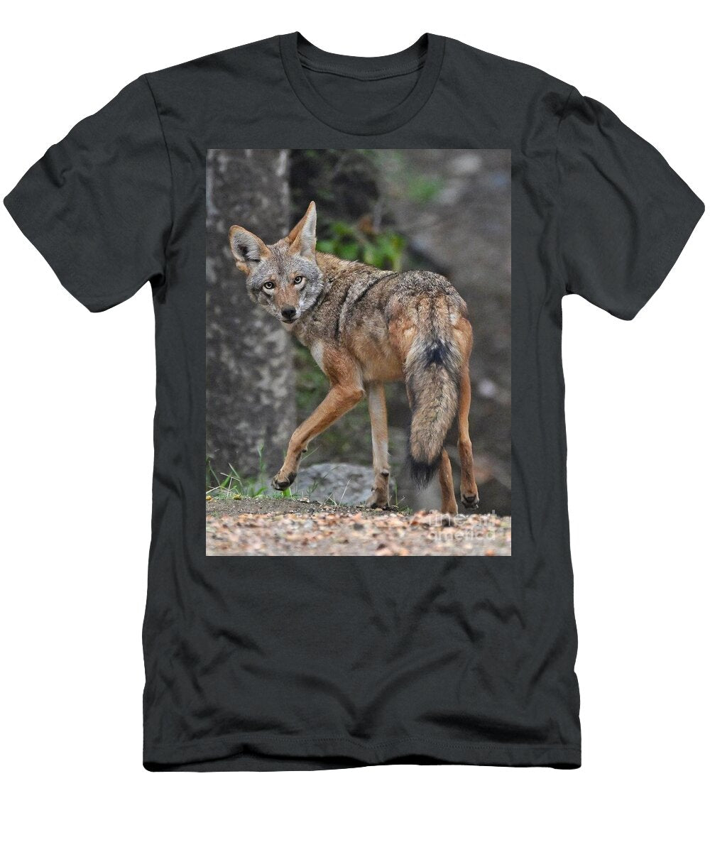 Coyote in a Forest Setting Marc Bittan T-Shirt