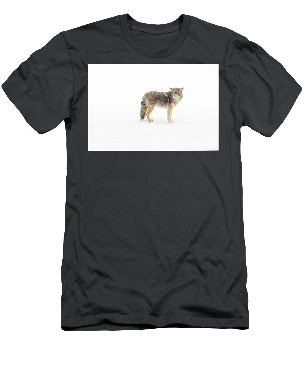 Coyote in White Todd Bielby T-Shirt