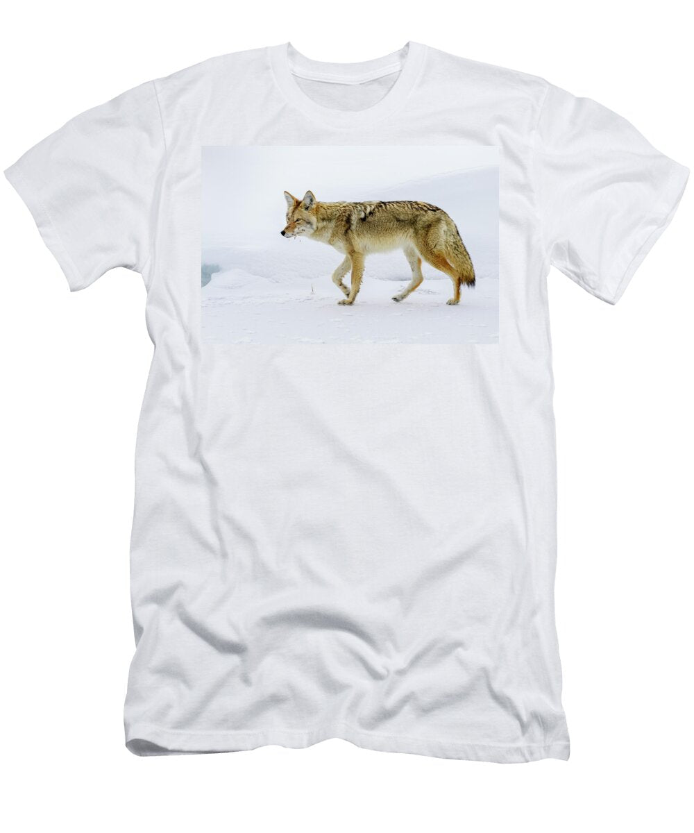 Coyote Walking on Ice Madison Valley Yellowstone National Nick Garbutt Natureplcom T-Shirt