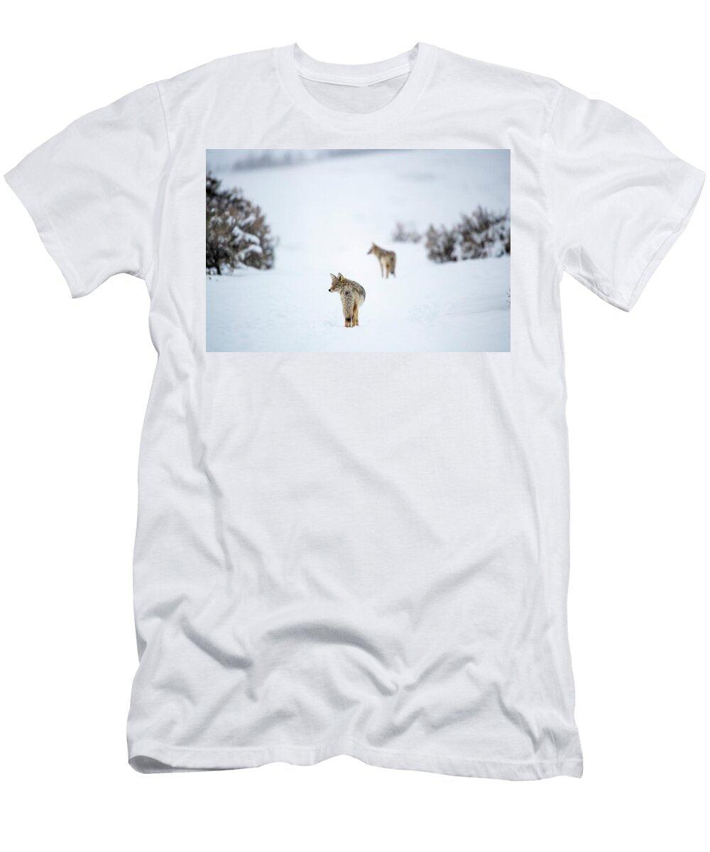 Coyotes Walking in Snow Lamar River Valley Yellowstone Nick Garbutt Natureplcom T-Shirt