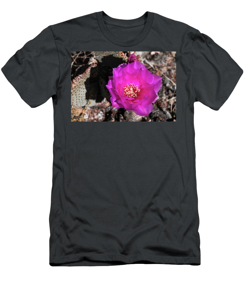 Desert Bloom James Marvin Phelps T-Shirt