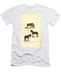 Domestic Donkey Mule and Hinny 1850 Lithography J W Tenhaeff T-Shirt