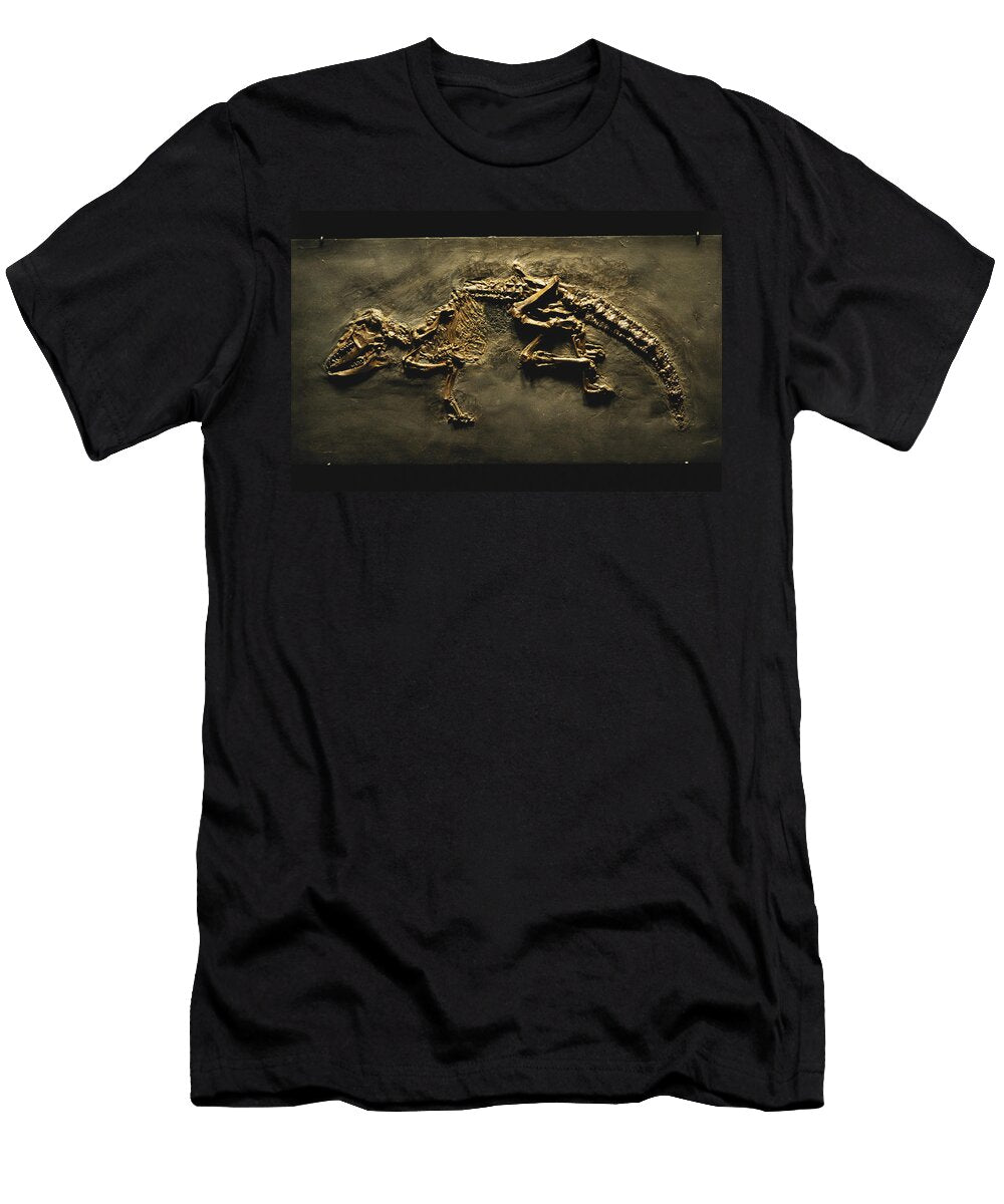 Early Insectivore Fossil Gary Retherford T-Shirt