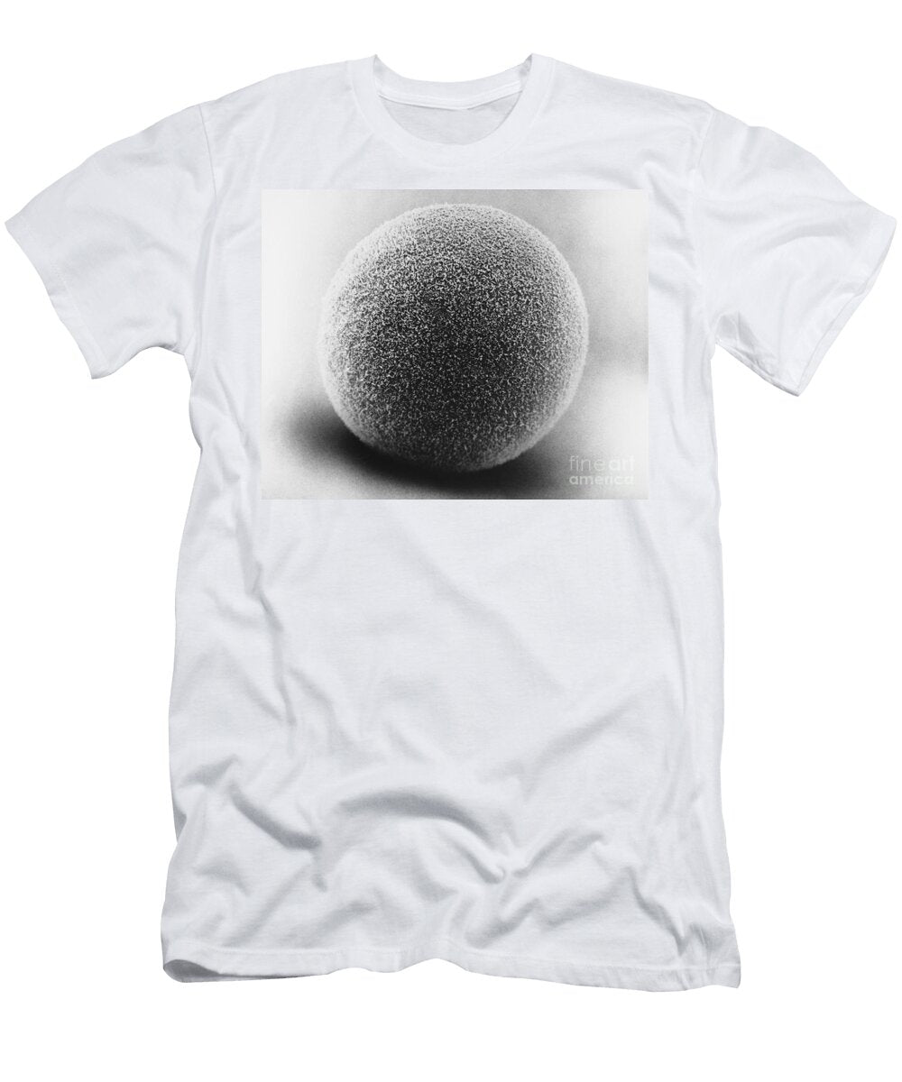 Egg Cell of Hamster Sem David M Phillips T-Shirt