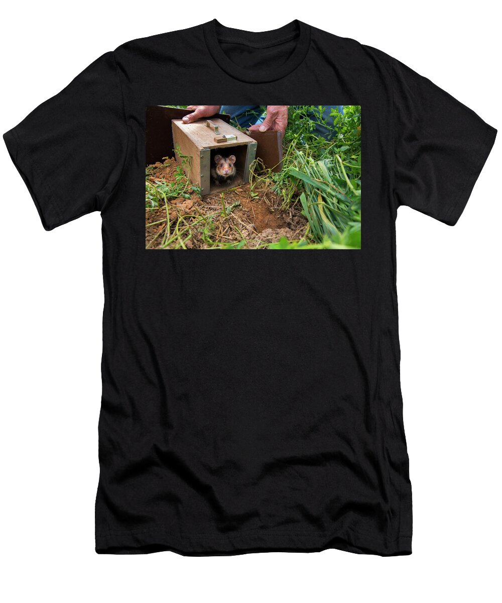 European Hamster Being Released in a Field Part of Edwin Giesbers Natureplcom T-Shirt