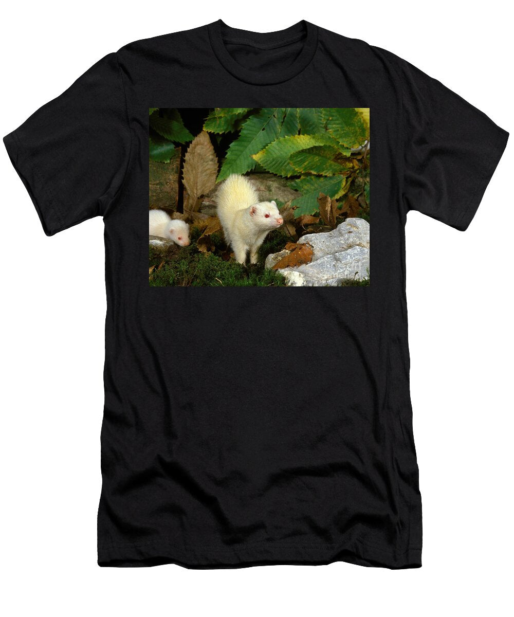 Ferret Mustela Putorius Furo Gerard Lacz T-Shirt
