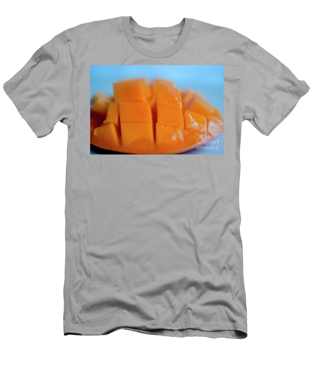 Flat Lay Mango Q1 Ilan Rosen T-Shirt