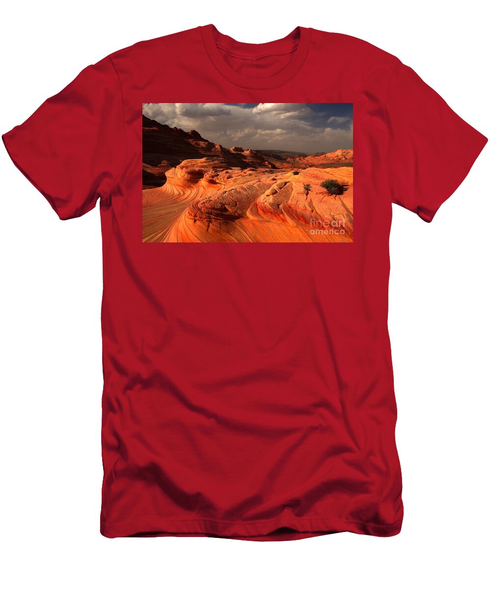 Flying Dragon Adam Jewell T-Shirt