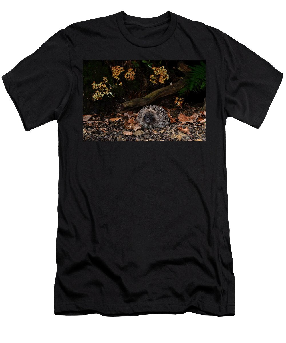 Hedgehog Sitting Among Leaf Litter in Woodland Dorset UK Colin Varndell Natureplcom T-Shirt