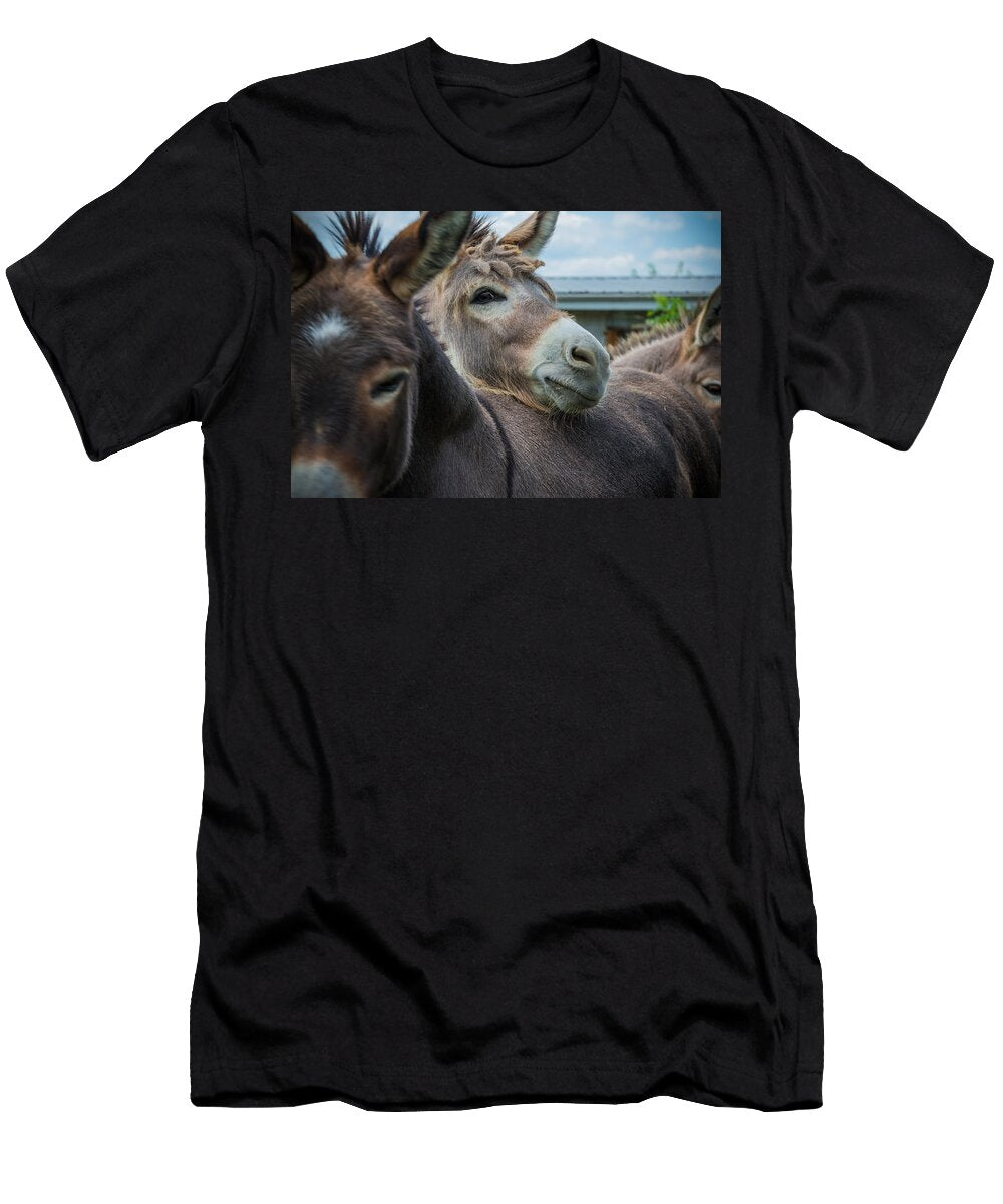 Hello Donkey Kristopher Schoenleber T-Shirt