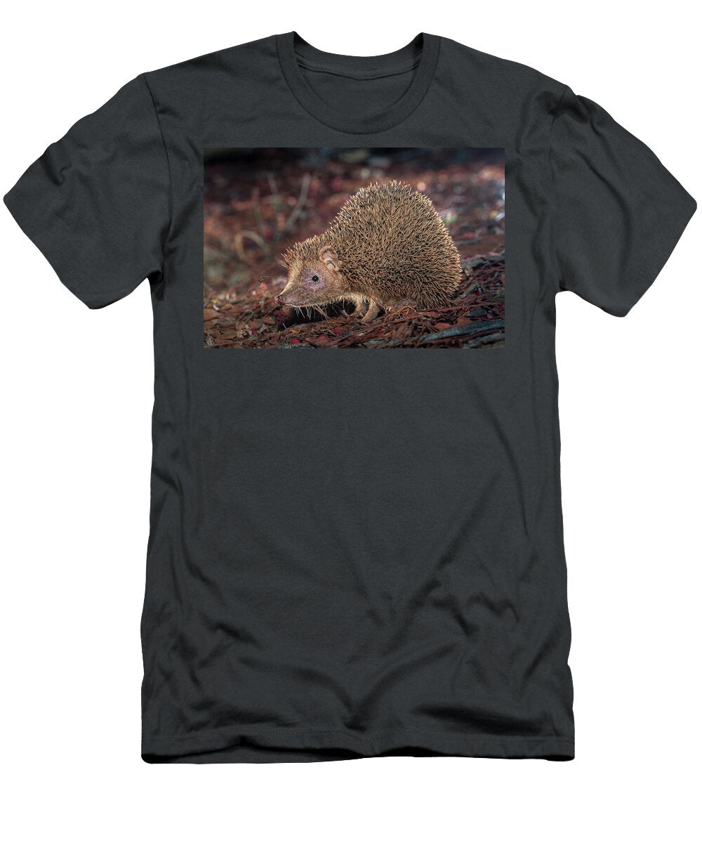 Lesser Hedgehog Tenrec on Forest Floor Tsimanampetsotse Nick Garbutt Natureplcom T-Shirt