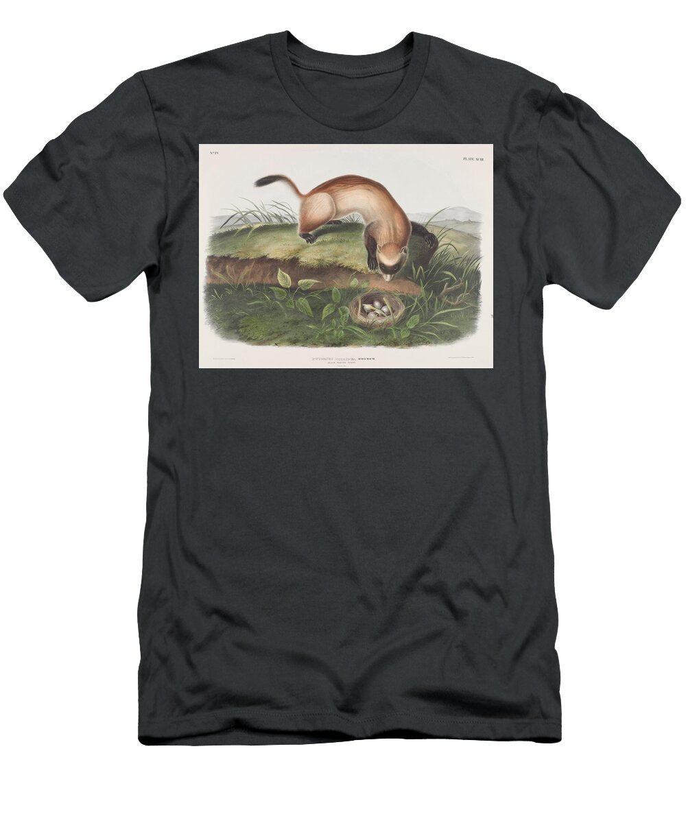 Putorius Nigripes Aud Bach Black Footed Ferret Natural Size John Woodhouse Audubon T-Shirt