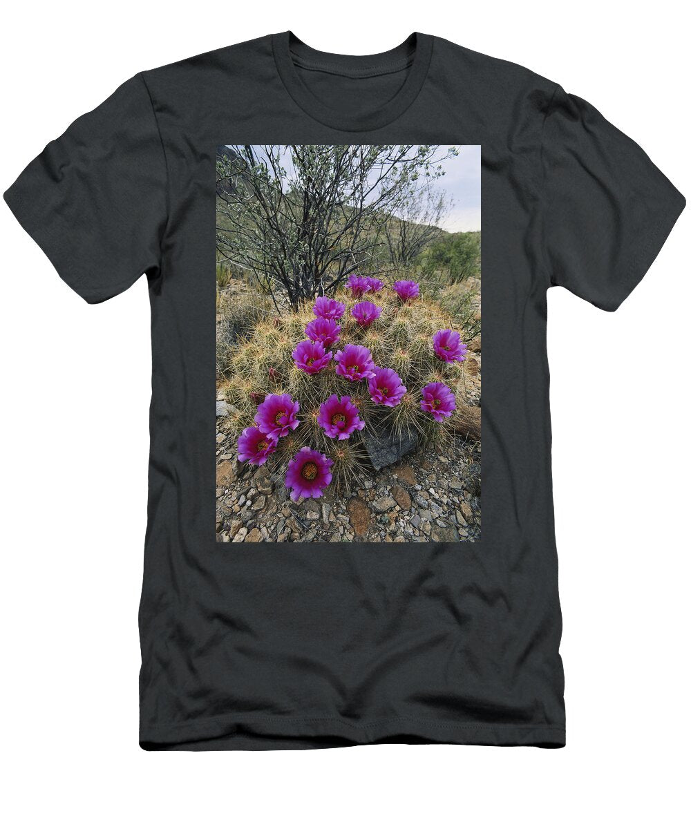 Strawberry Pitaya Cactus James Steinberg T-Shirt