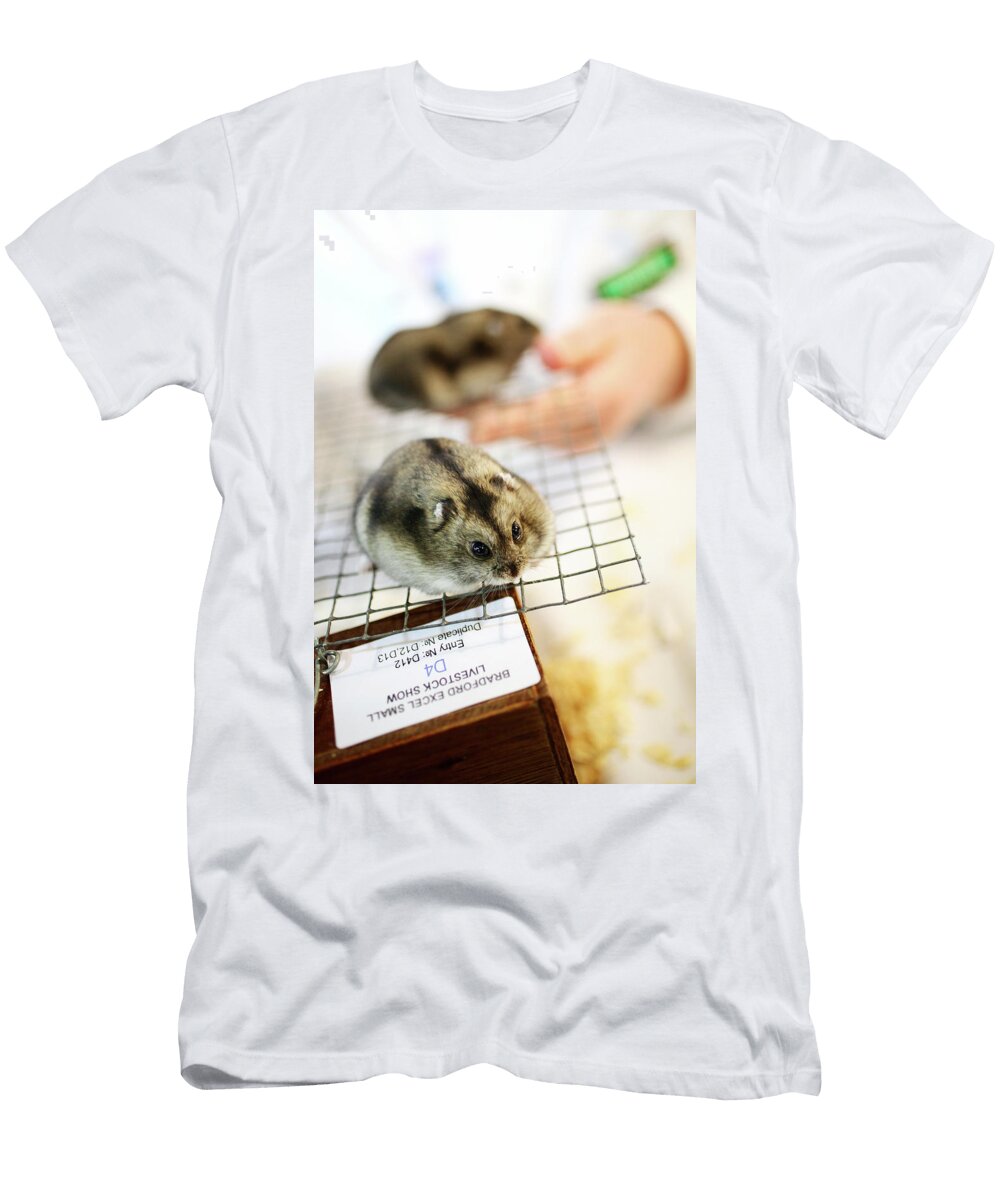 Two Dwarf Hamsters Normal Winter White Rii Schroer T-Shirt