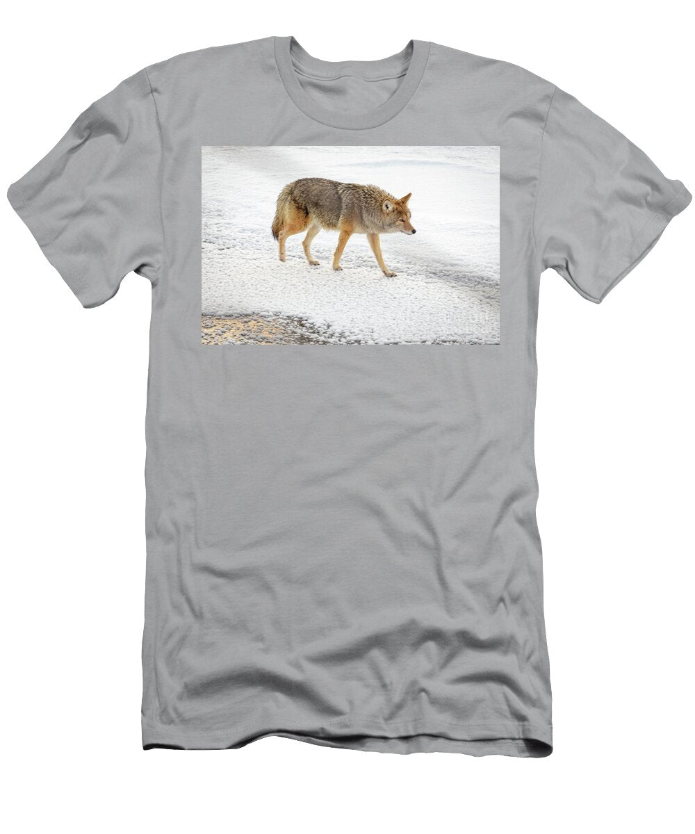 Walking Coyote Todd Bielby T-Shirt